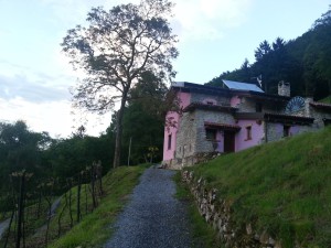 L'Agriturismo - Il Terzo Casale