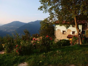 L'Agriturismo - Panoramica Diurna Secondo Casale