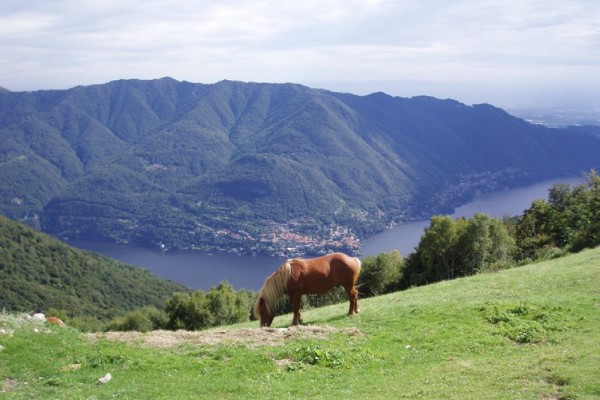 Panorama Dintorni - Cavallo Selvatico e Vista Lago