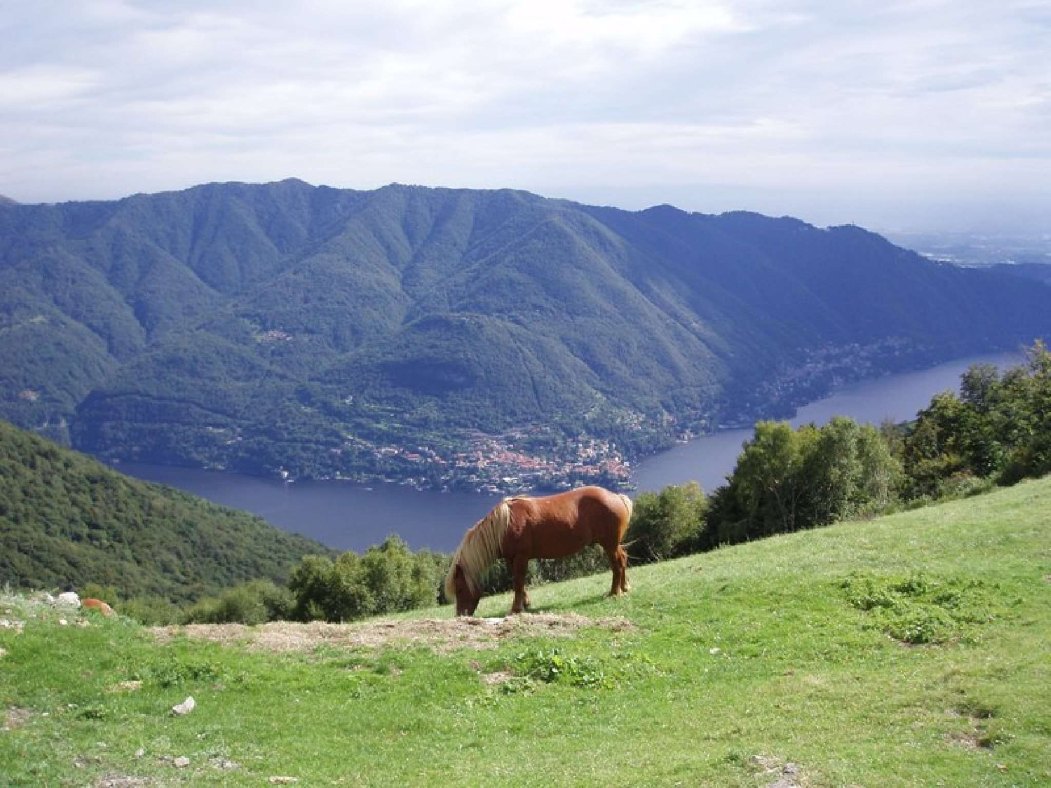 Panorama Dintorni - Cavallo Selvatico e Vista Lago