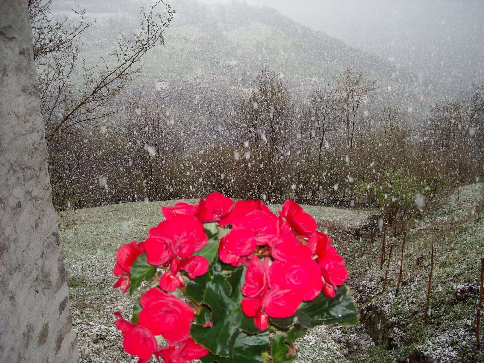 Vista Al-Marnich - Grande Nevicata