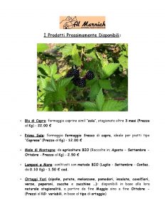 (Italiano) Listino Prezzi - Vendita Prodotti Agricoli - Terza Pagina